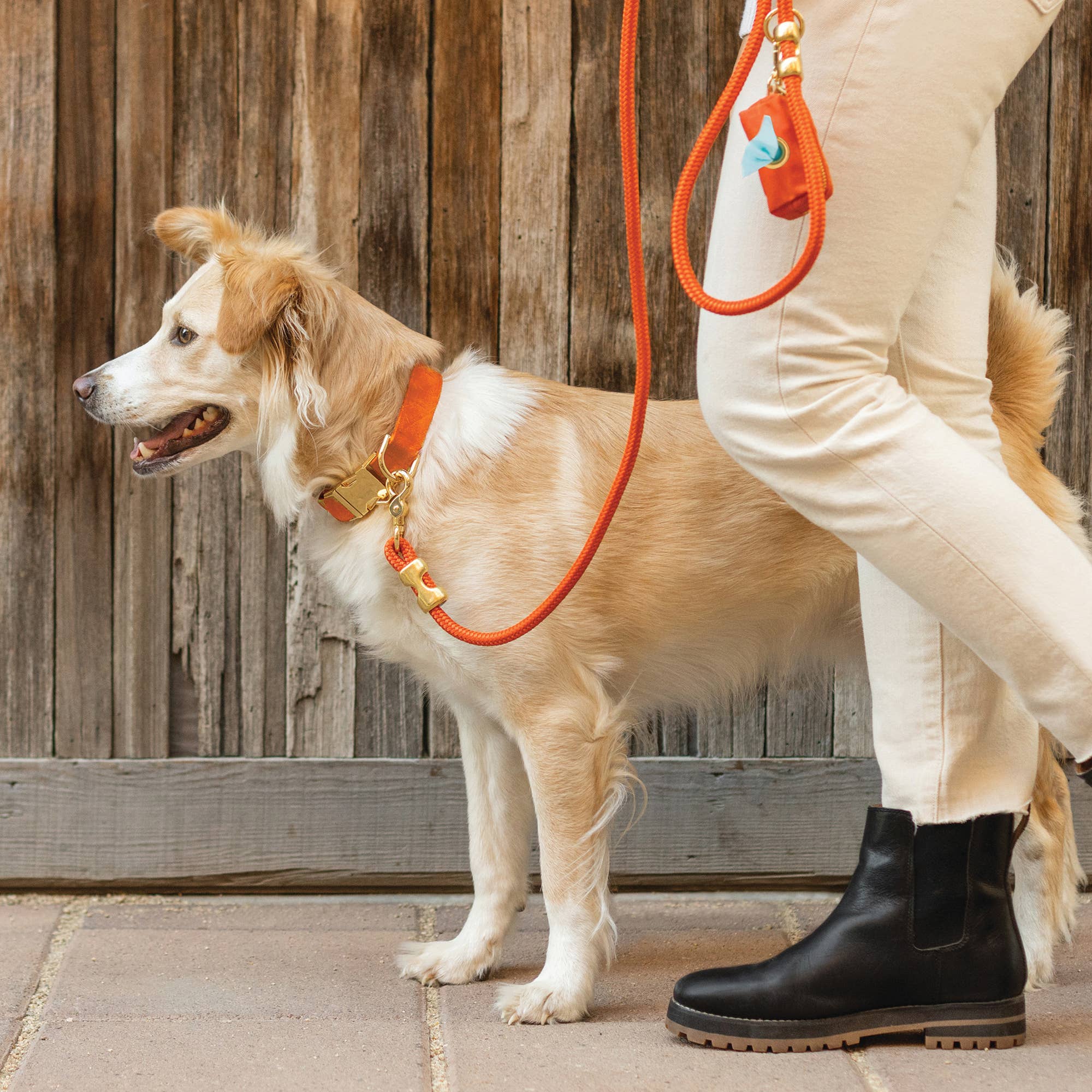 Cider Waxed Canvas Poop Bag Dispenser - Gabrielle's Biloxi