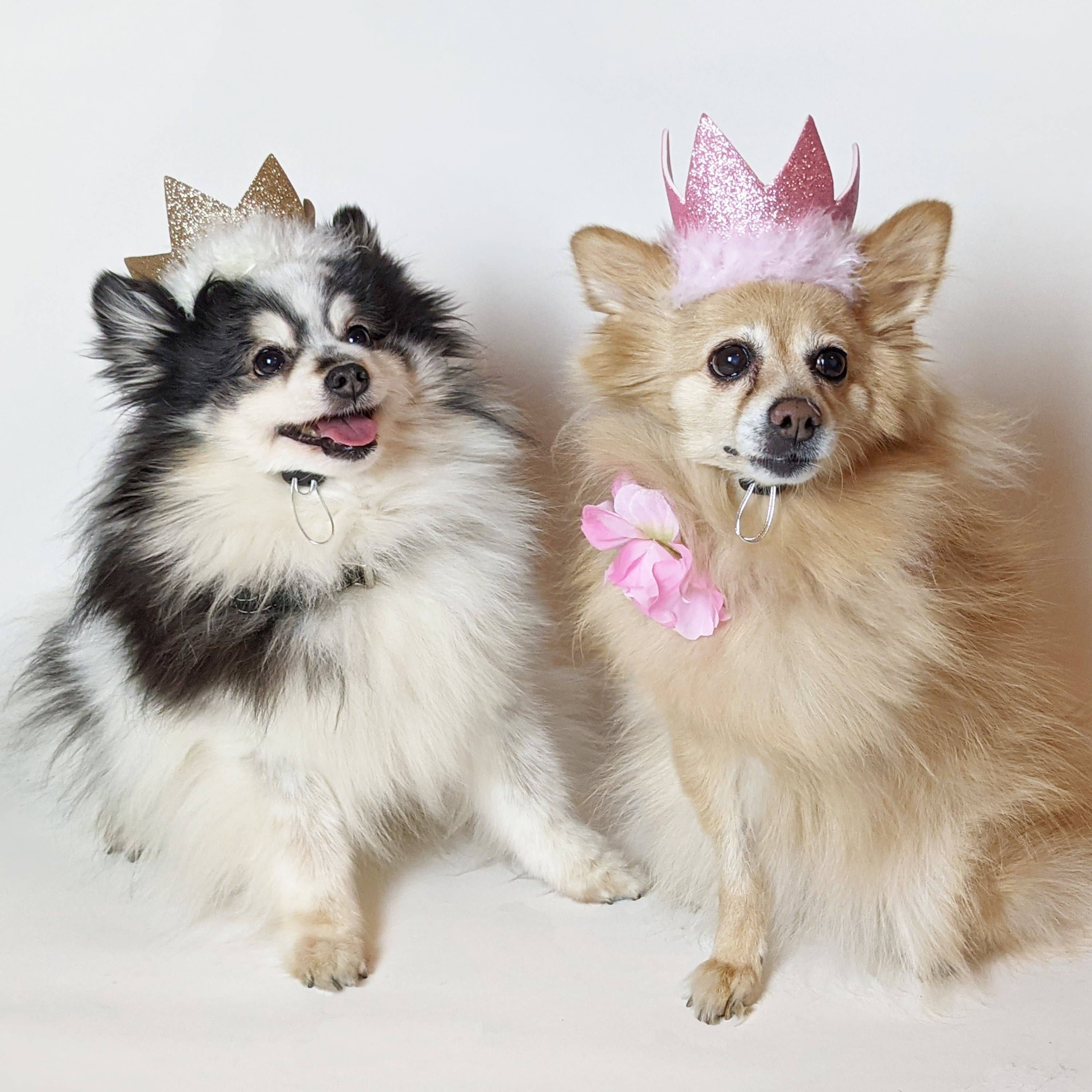 H&K Party Crown - Pink with SnugFit® - Gabrielle's Biloxi