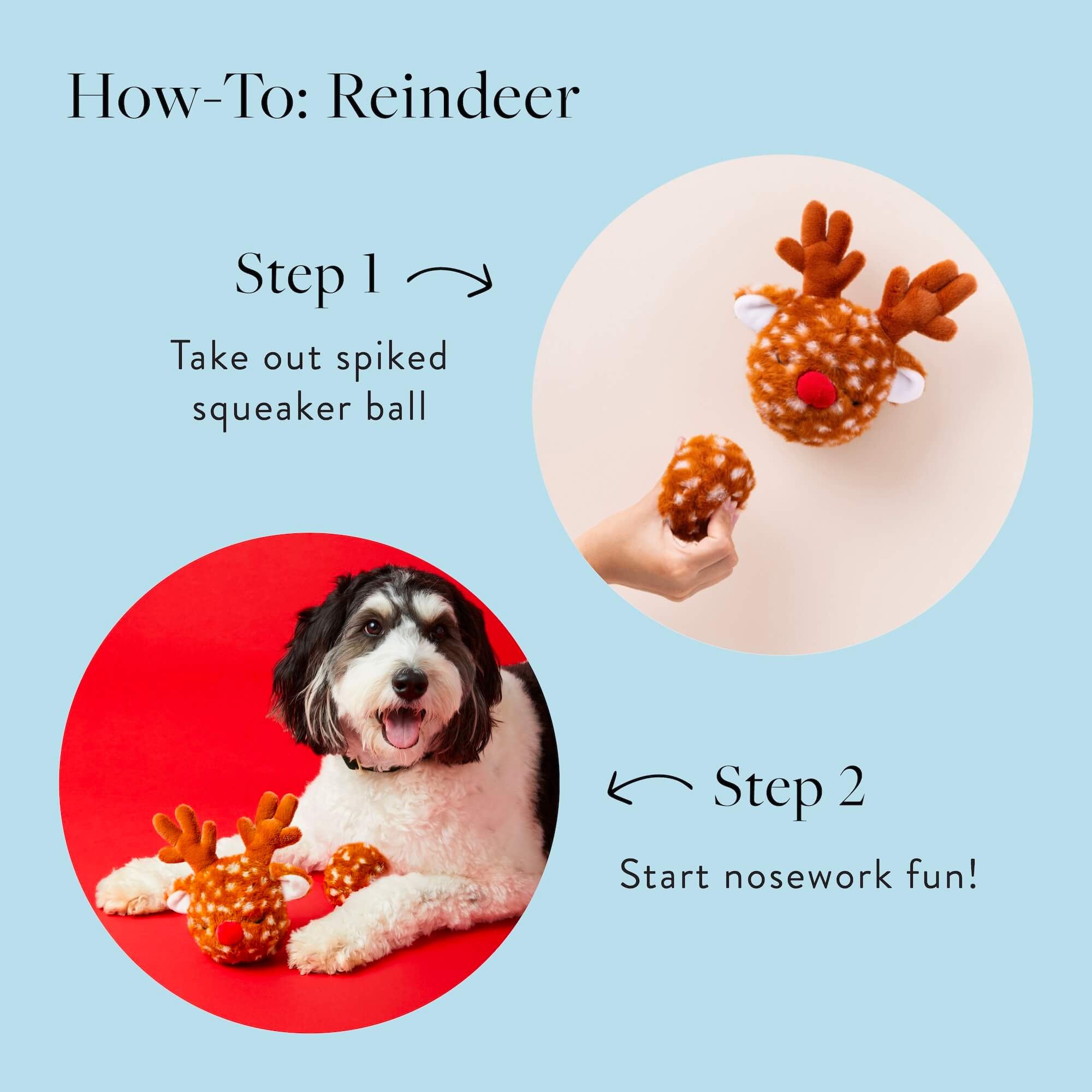 Reindeer 2-in-1 Bounce Dog Toy - Gabrielle's Biloxi