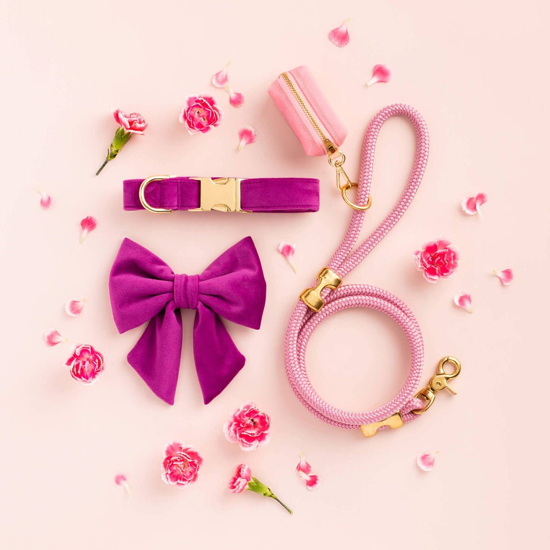Plum Velvet Dog Collar - Gabrielle's Biloxi