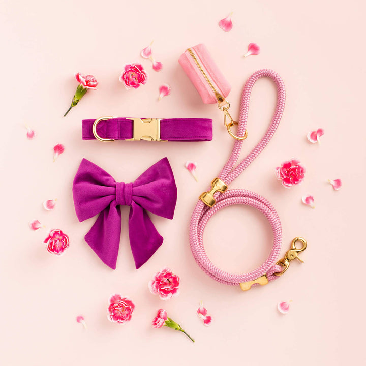 Plum Velvet Dog Collar - Gabrielle's Biloxi
