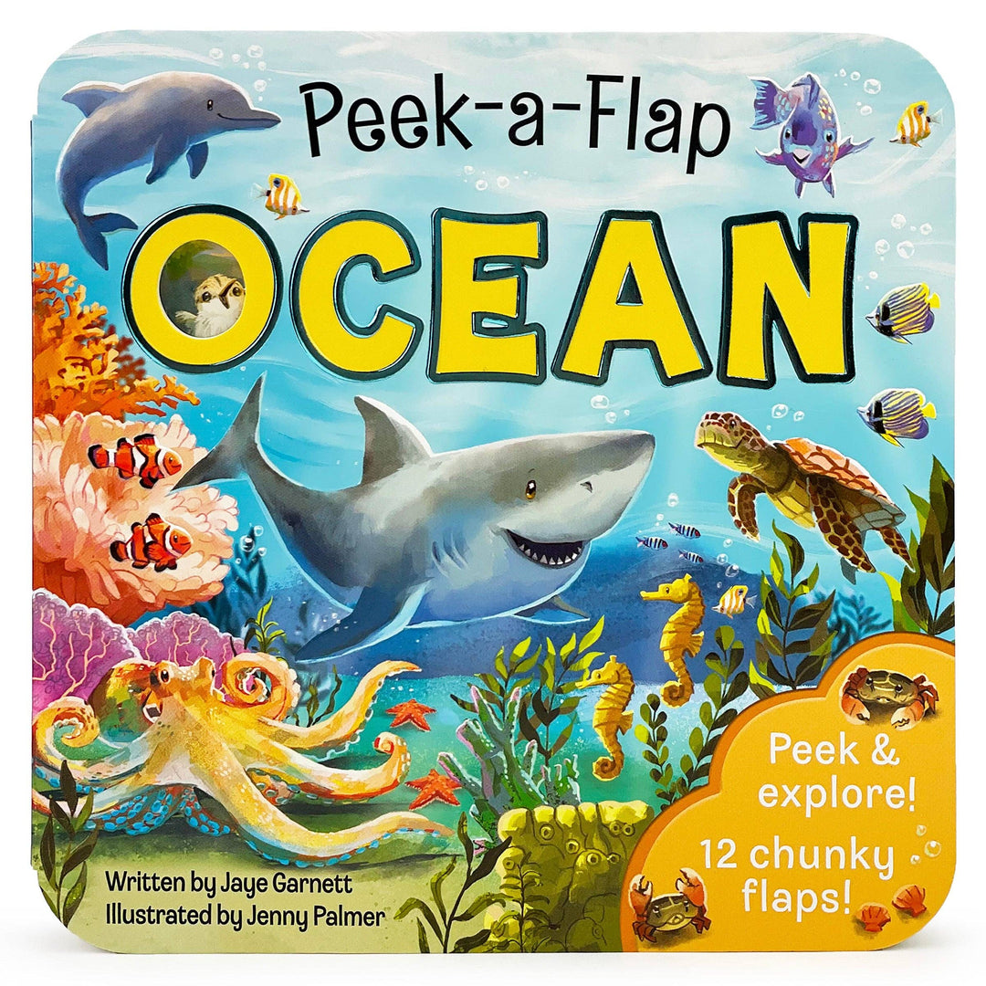 Ocean Interactive Lift-a-Flap Board Book - Gabrielle's Biloxi