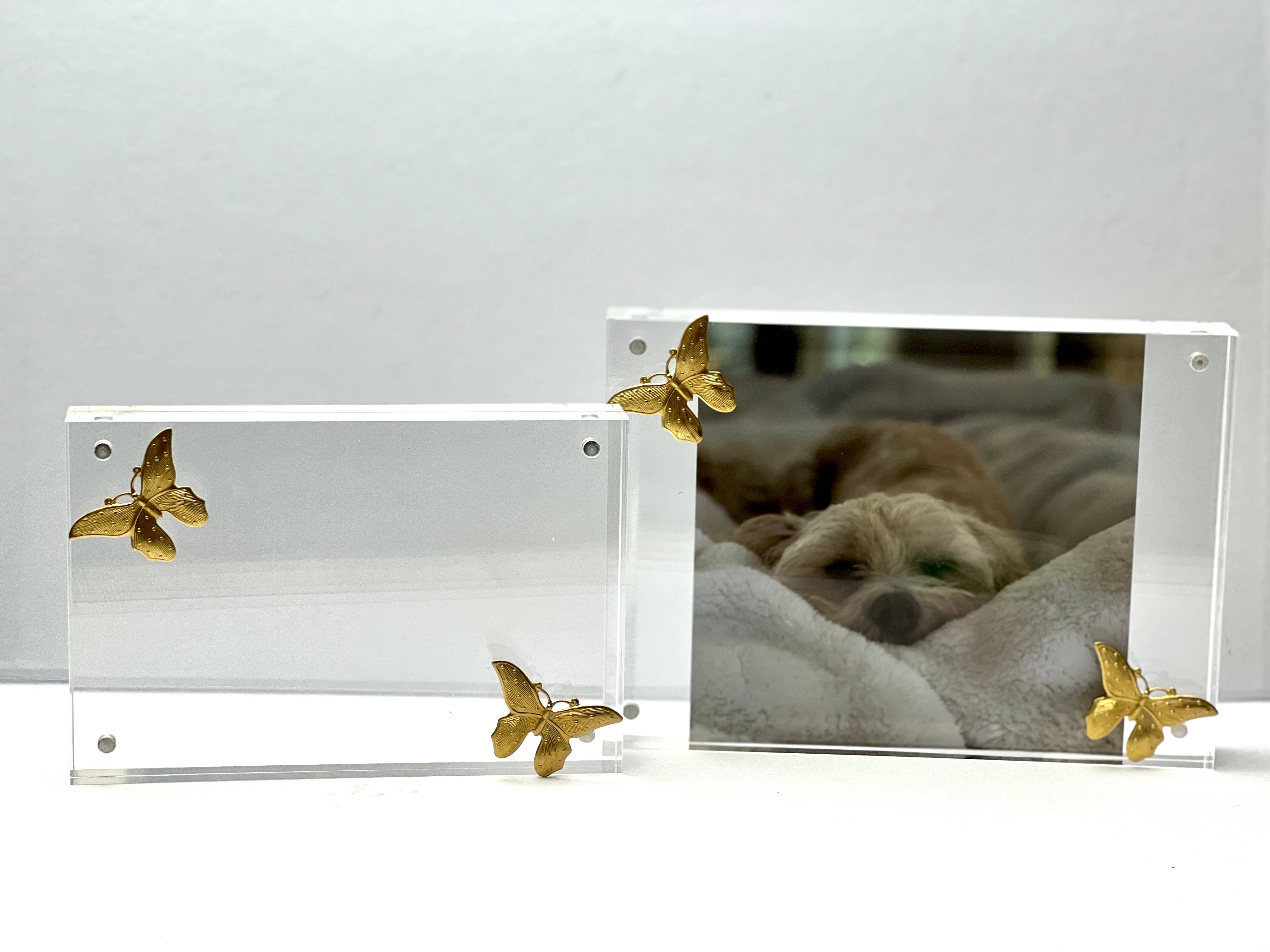 Acrylic Frame - Butterflies - Gabrielle's Biloxi