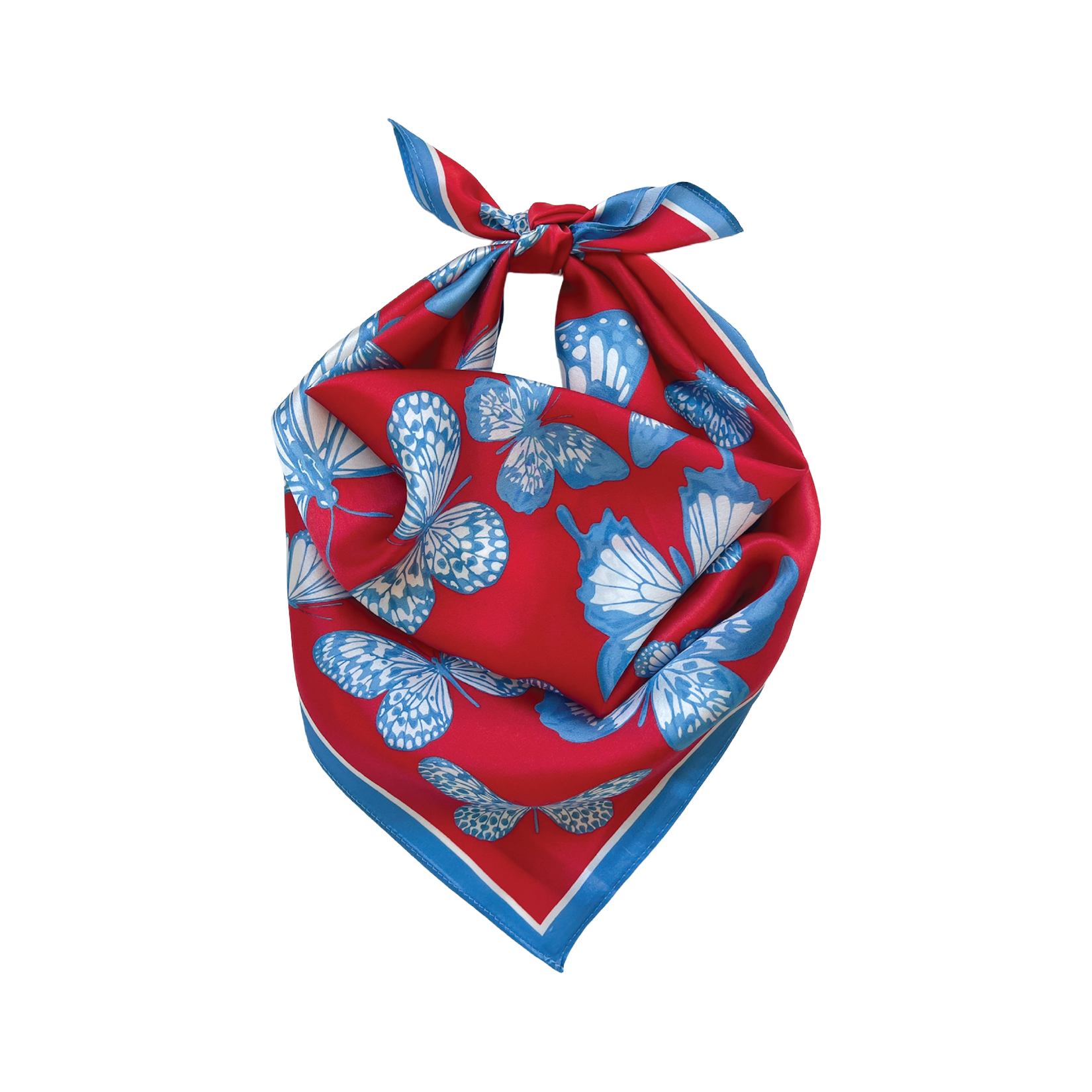 The Mariposa Scarf in Red & Powder Blue