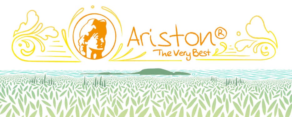 Select Extra Virgin Olive Oil 8.45 fl oz size (250 ml) - Gabrielle's Biloxi