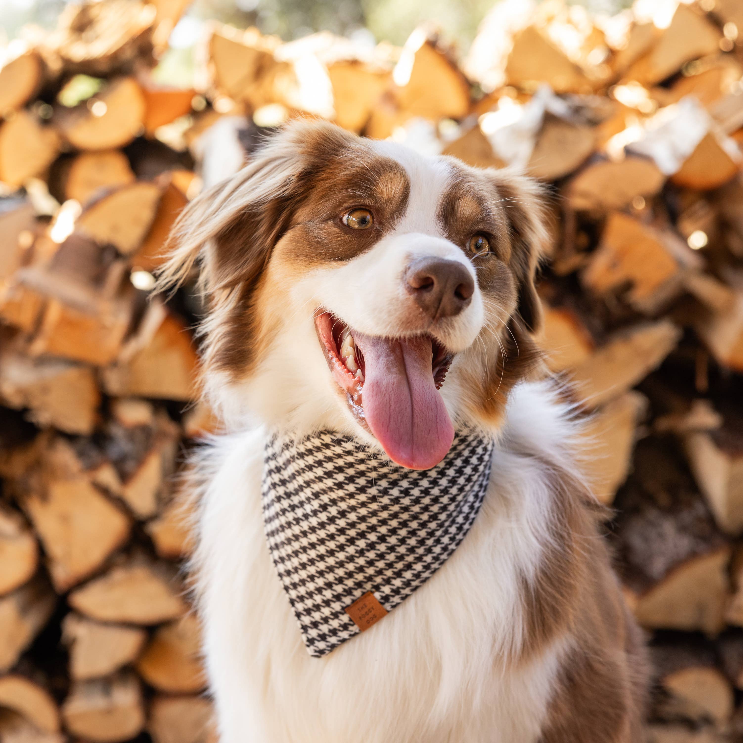 Houndstooth Flannel Winter Dog Bandana - Gabrielle's Biloxi