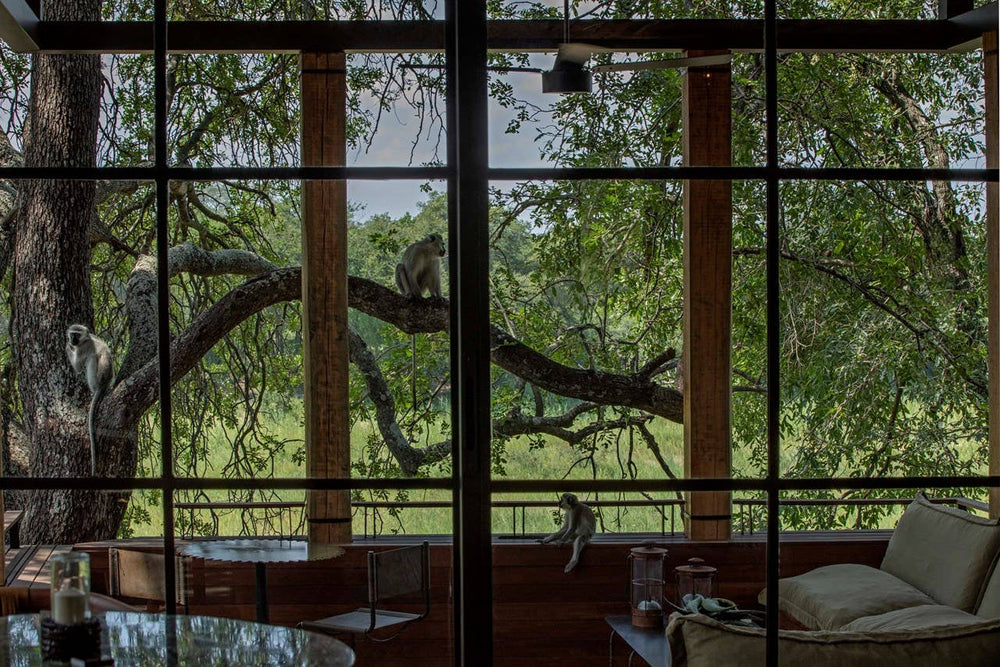 Safari Style - Gabrielle's Biloxi