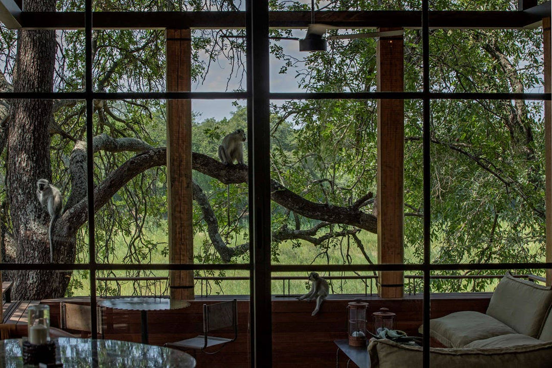 Safari Style - Gabrielle's Biloxi