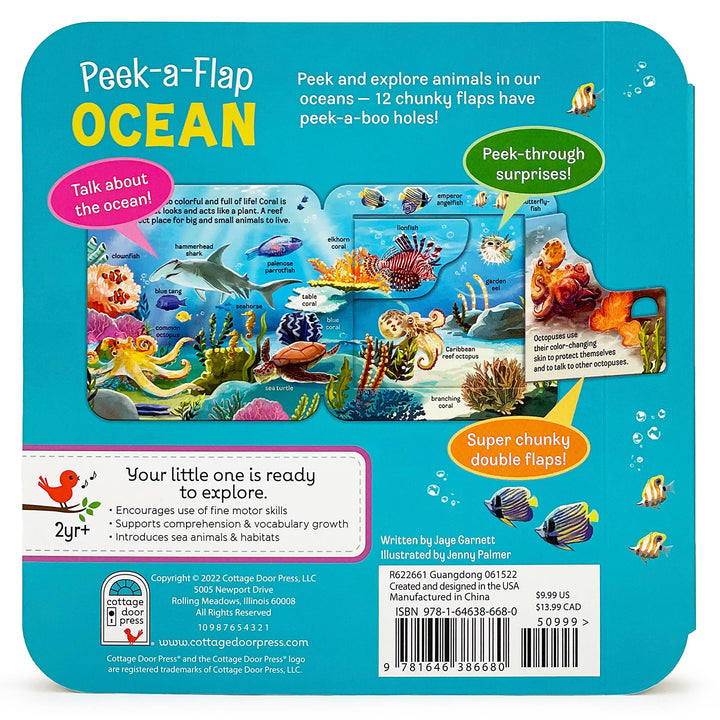 Ocean Interactive Lift-a-Flap Board Book - Gabrielle's Biloxi