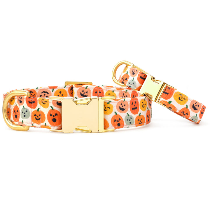 Jack-o'-Lanterns Halloween Dog Collar - Gabrielle's Biloxi
