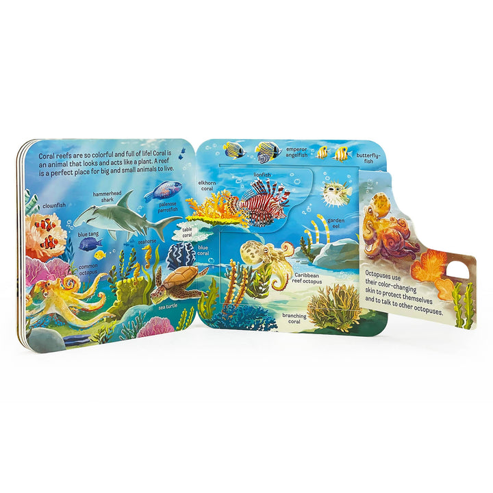 Ocean Interactive Lift-a-Flap Board Book - Gabrielle's Biloxi