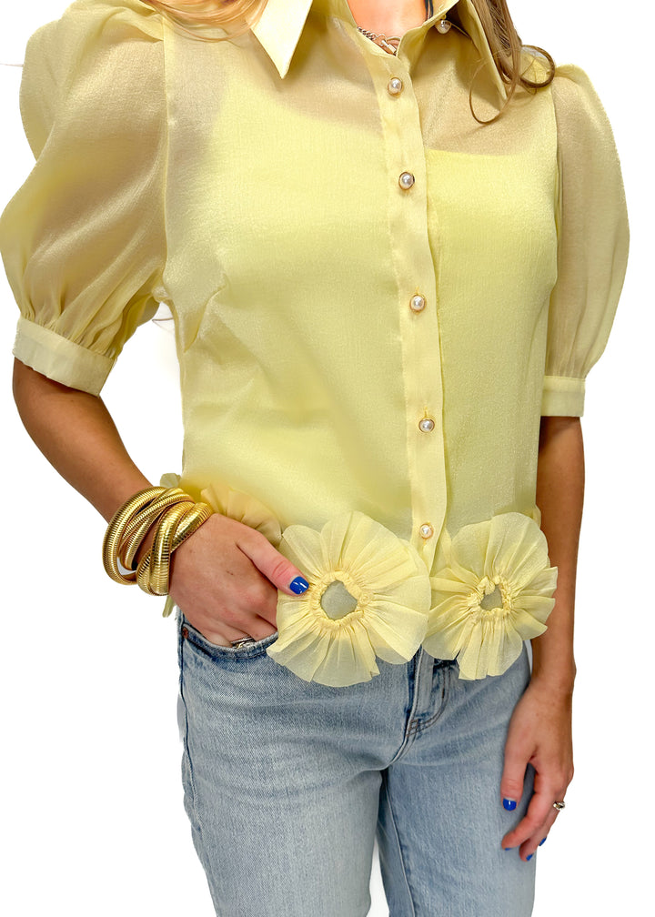 LBLOX Collared Blouse - Yellow - Gabrielle's Biloxi