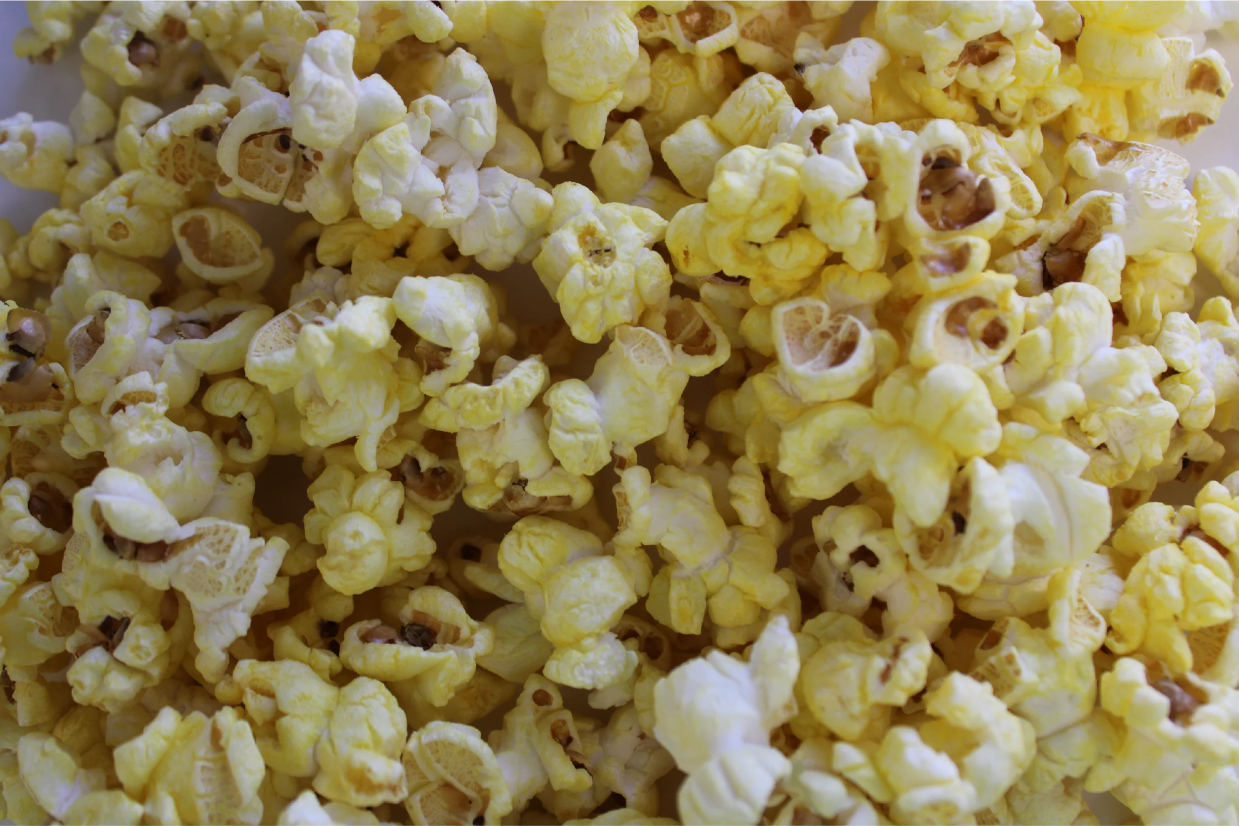 Bear Food Large Buttered Black Truffle Gourmet Popcorn 1.5oz