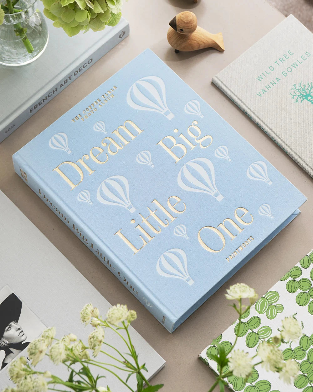 Dream Big Little One - Photo Album