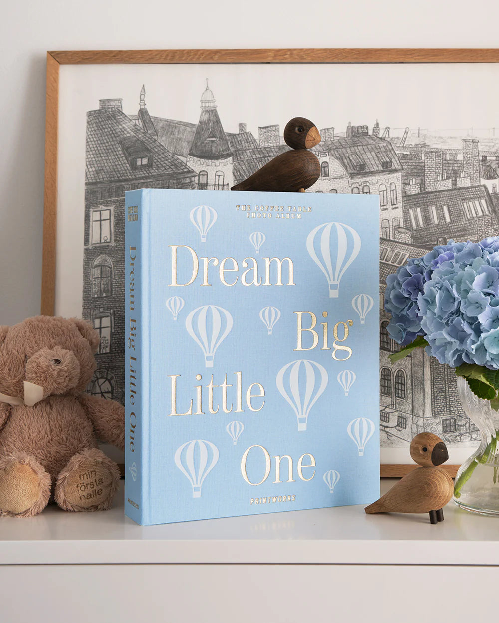 Dream Big Little One - Photo Album