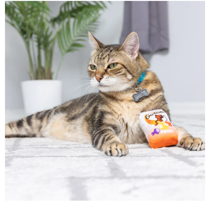 Go Fish Phishy Toy For Cats - Gabrielle's Biloxi