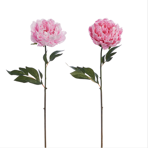 Real Touch Peony Stem - 25" - Gabrielle's Biloxi