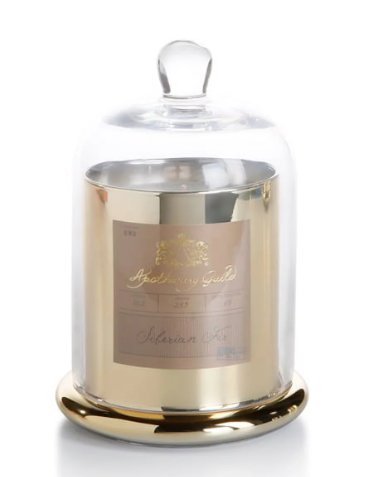 Apothecary Guild Candle Jar w/Dome - Siberian Fir Gold Medium - Gabrielle's Biloxi