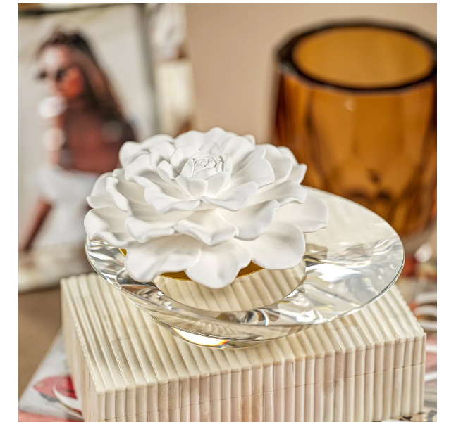 Dream Crystal Edition - Fig Vetiver - Gabrielle's Biloxi