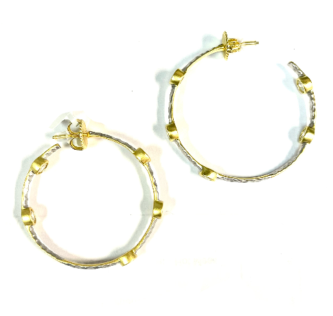 Freida Rothman Starry Night Hoop Earrings - Gold & Silver - Gabrielle's Biloxi