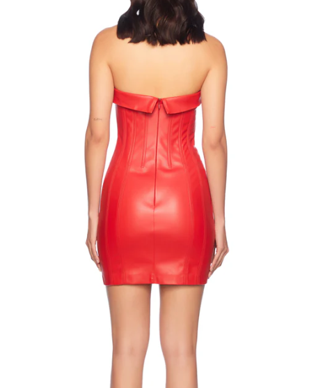 red latex tube dress Sexy Red Metallic Sequin Fringe Tube Dress 2 Pc Holiday Costume S/M / Red