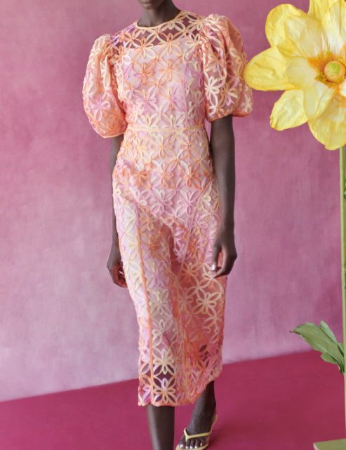 Celia B Samphire Dress - Orange - Gabrielle's Biloxi