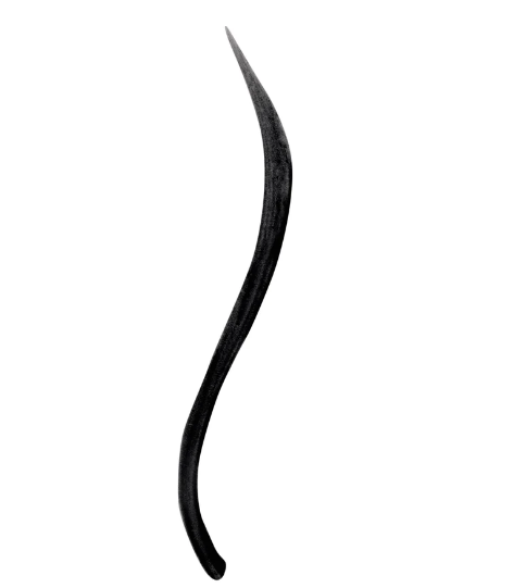 Jane Iredale Liquid Eyeliner - Black - Gabrielle's Biloxi