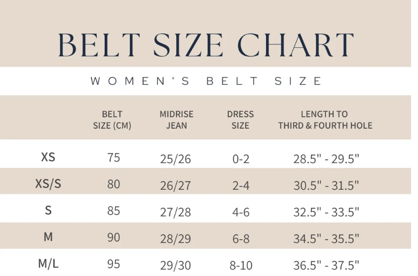 Leather Studded Statement Belt - Black/Gold - Gabrielle's Biloxi