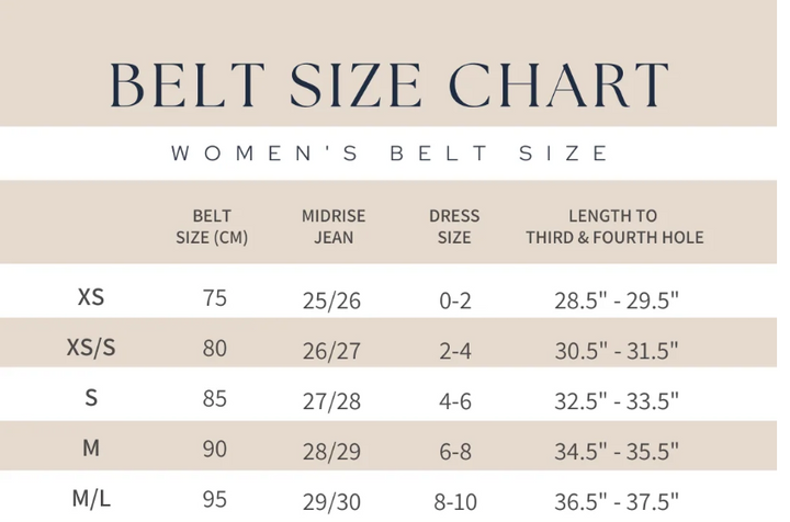 Leather Studded Statement Belt - Black/Gold - Gabrielle's Biloxi