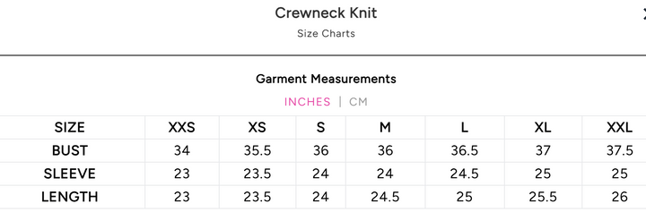 Emily McCarthy Crewneck Knit Top - Lady Leopard - Gabrielle's Biloxi