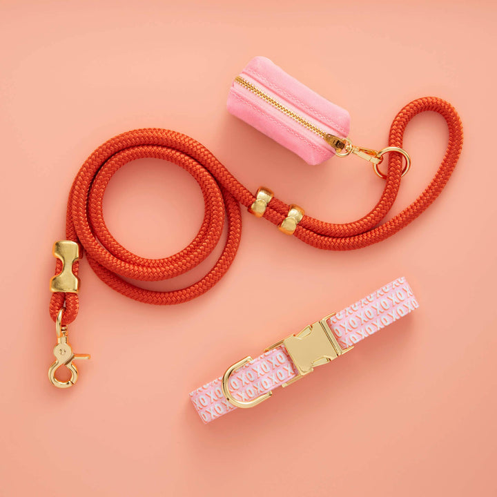 Cider Marine Rope Dog Leash - 5 Feet - Gabrielle's Biloxi