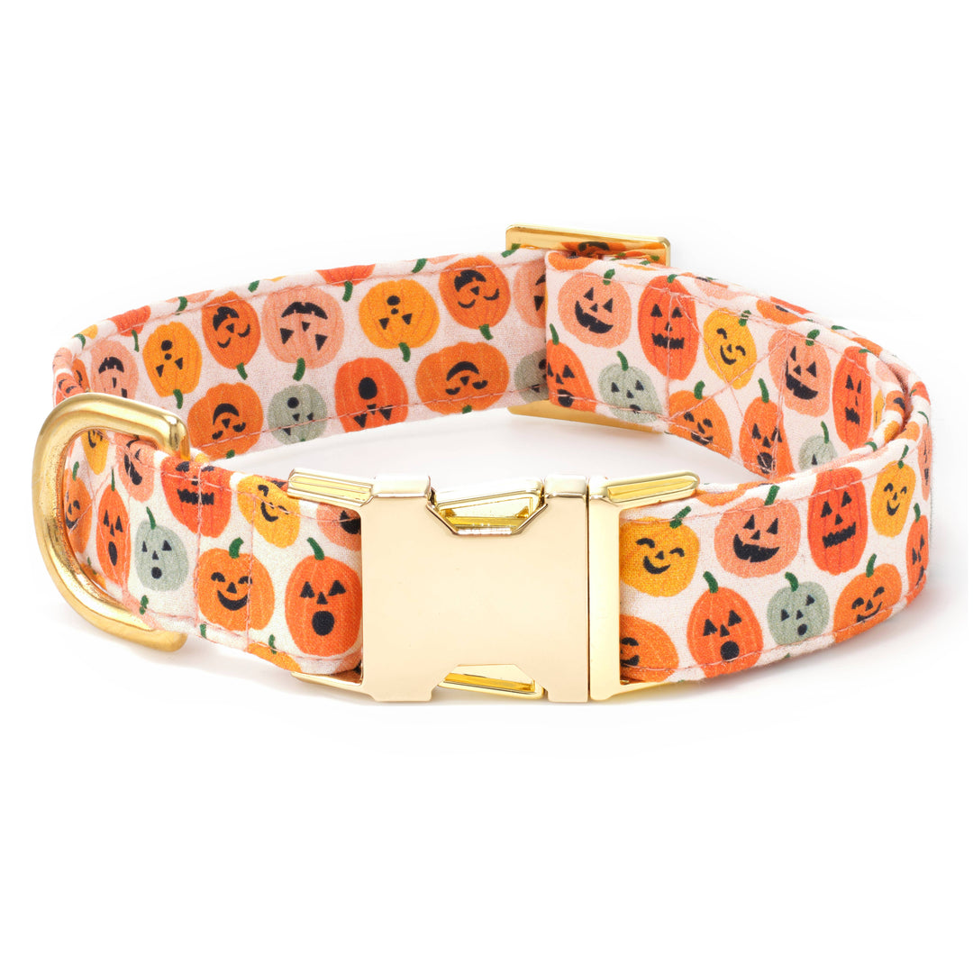 Jack-o'-Lanterns Halloween Dog Collar - Gabrielle's Biloxi