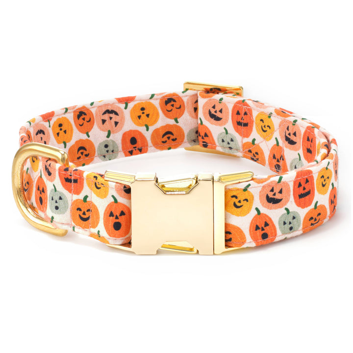 Jack-o'-Lanterns Halloween Dog Collar - Gabrielle's Biloxi