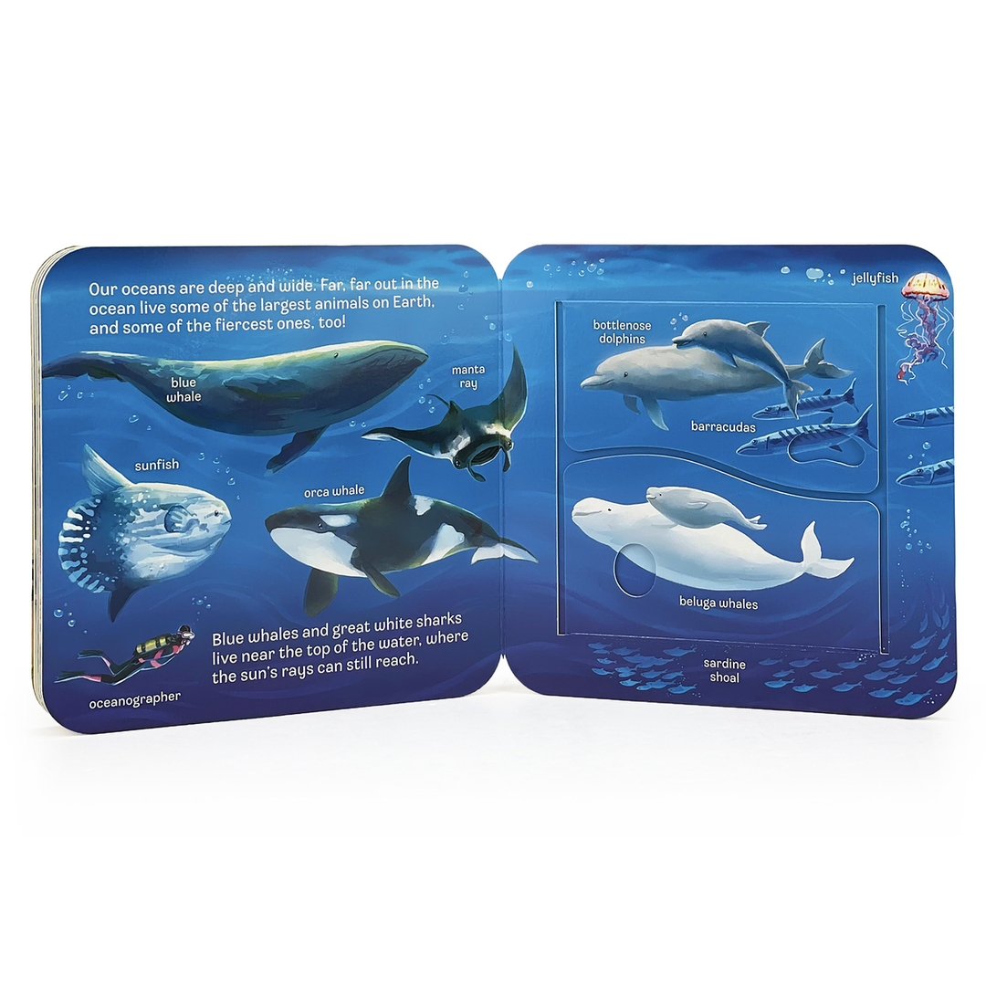 Ocean Interactive Lift-a-Flap Board Book - Gabrielle's Biloxi