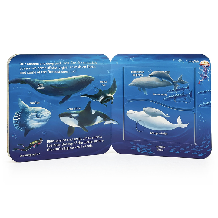Ocean Interactive Lift-a-Flap Board Book - Gabrielle's Biloxi