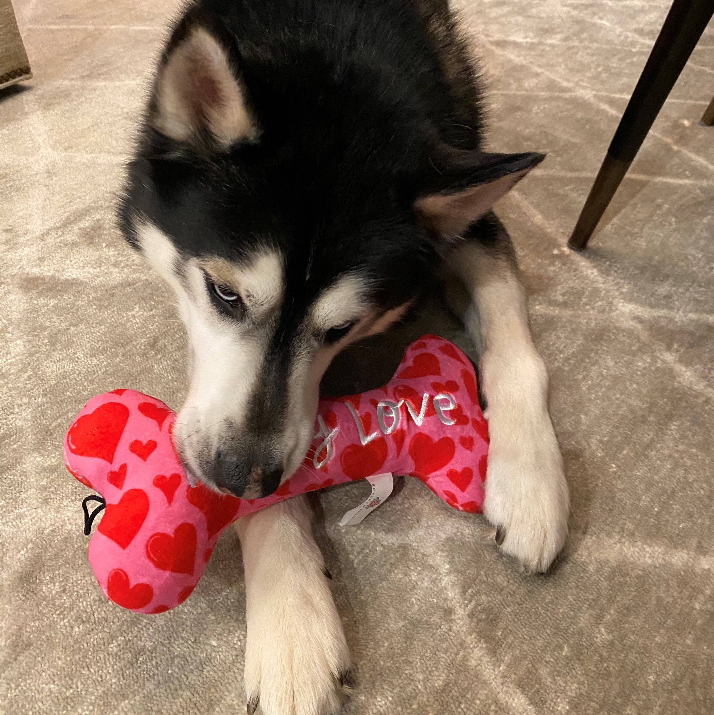 My Puppy Love Bone For Dogs - Gabrielle's Biloxi