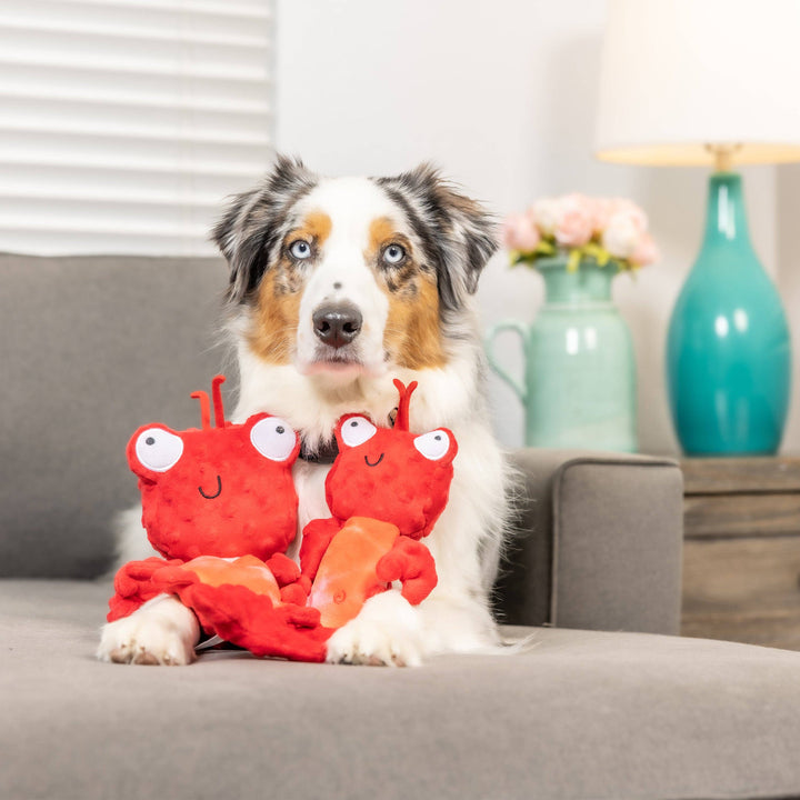 Claude Lobster For Dogs - Gabrielle's Biloxi