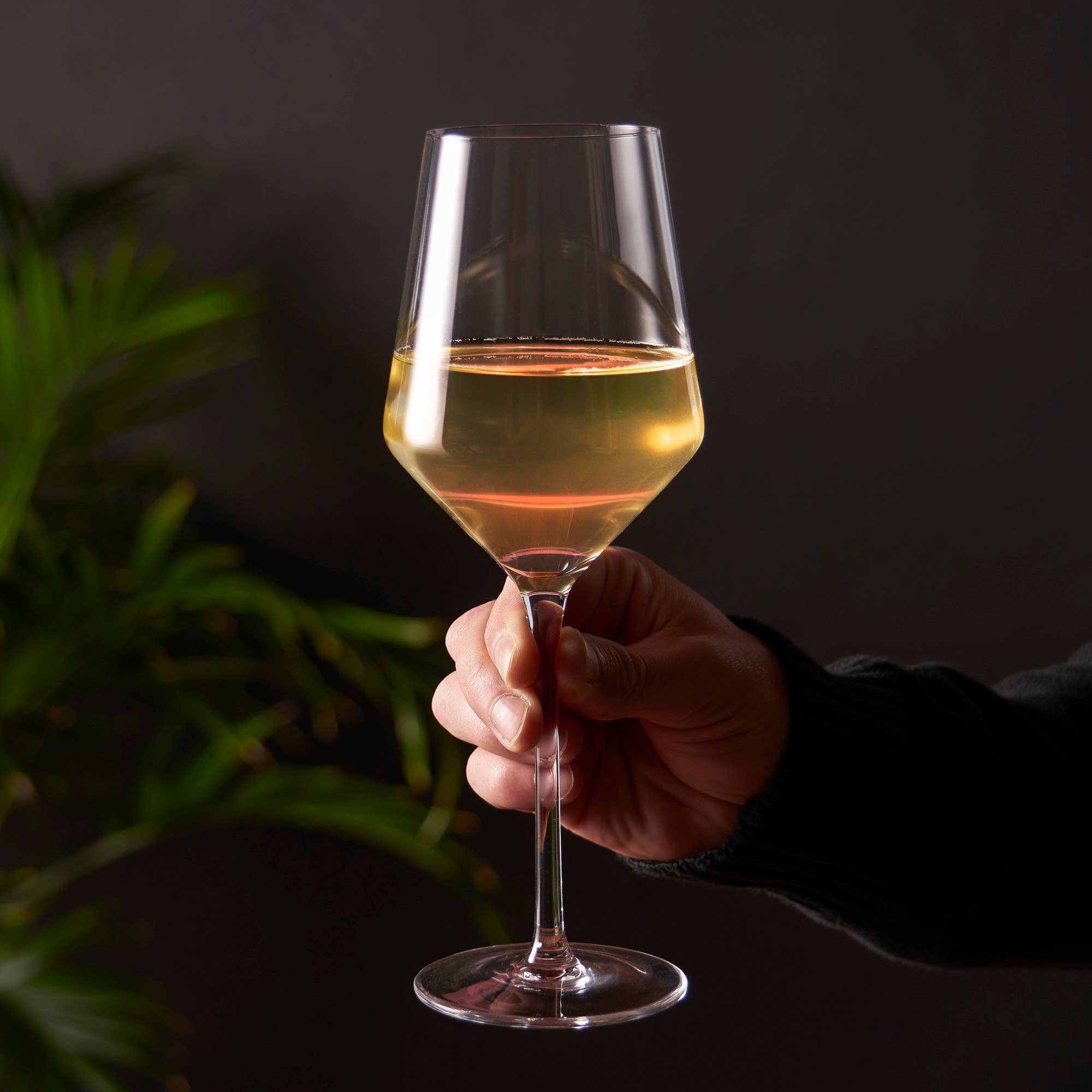 Raye™ Angled Crystal Chardonnay Glasses Set of 2