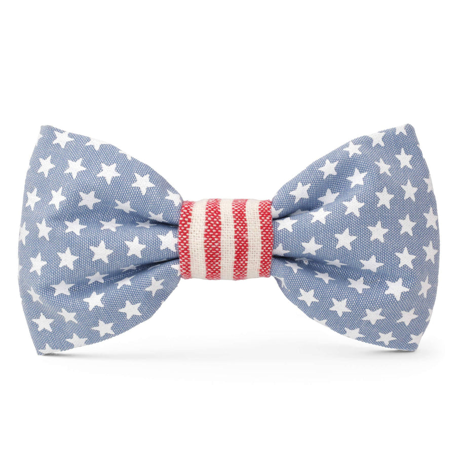 Stars and Stripes Summer Dog Bow Tie - Gabrielle's Biloxi