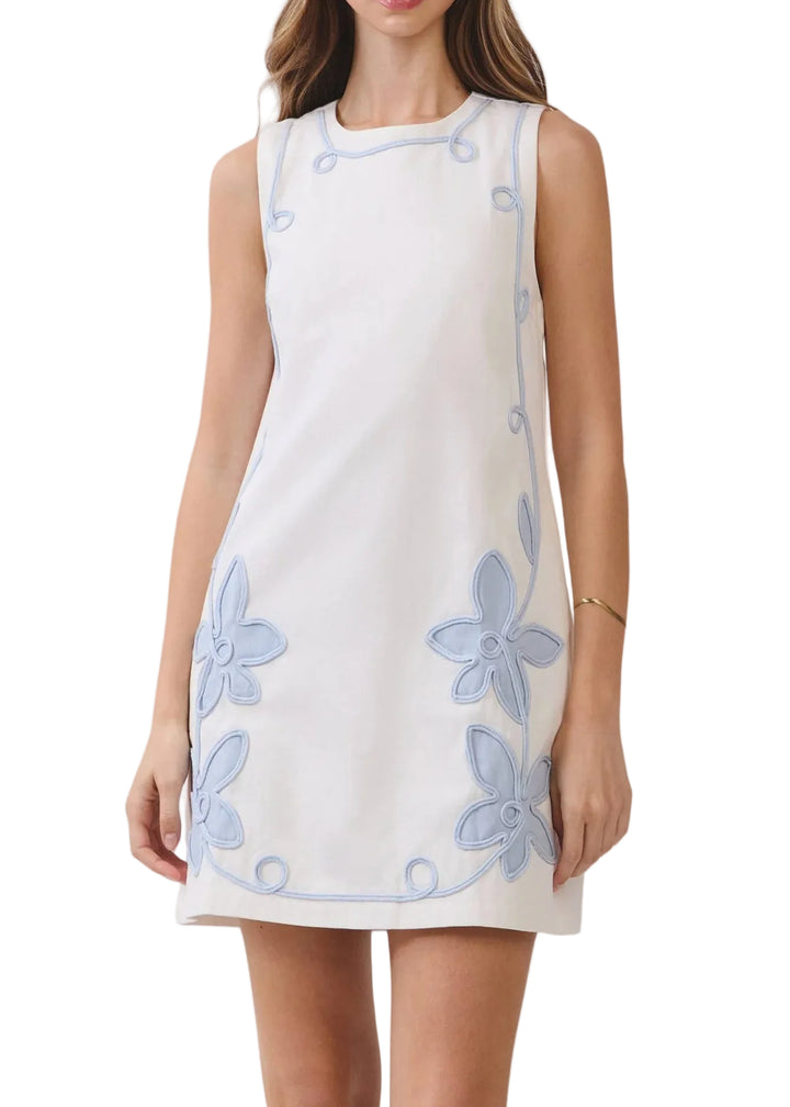 Floral Embroidered Mini Dress - Baby Blue