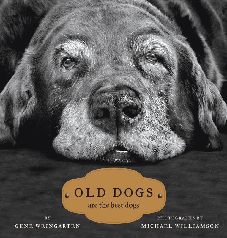 Old Dogs by - Gabrielle's Biloxi