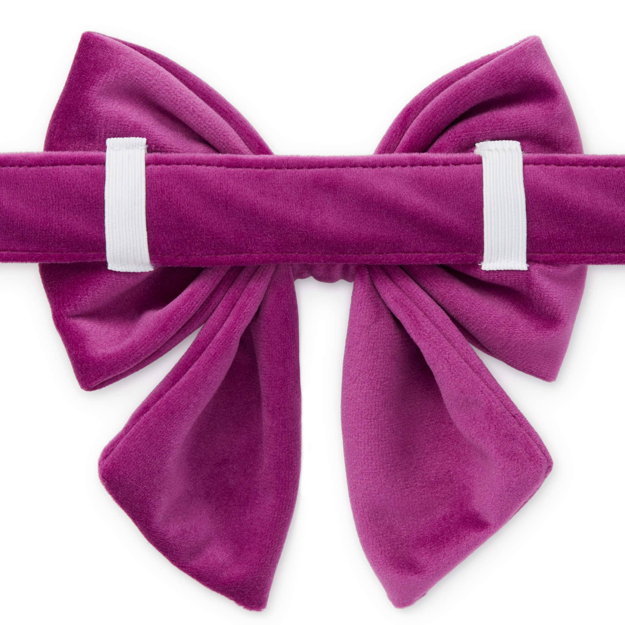 Plum Velvet Lady Dog Bow - Gabrielle's Biloxi