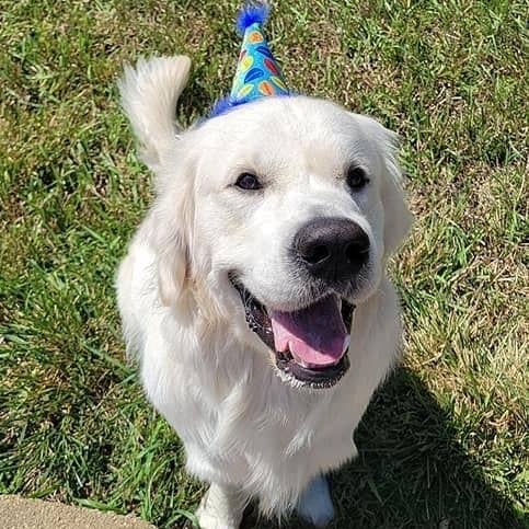 H&K Party Hat - Party Time Blue with SnugFit® - Gabrielle's Biloxi