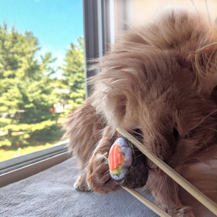 Classic Sushi for Cats - Gabrielle's Biloxi