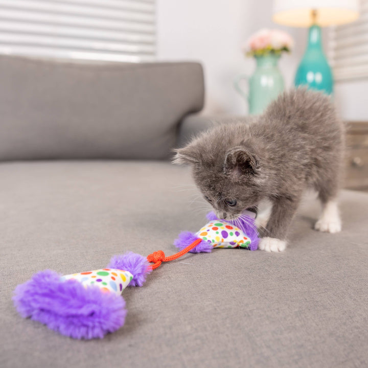 Party Hats for Cats - Gabrielle's Biloxi