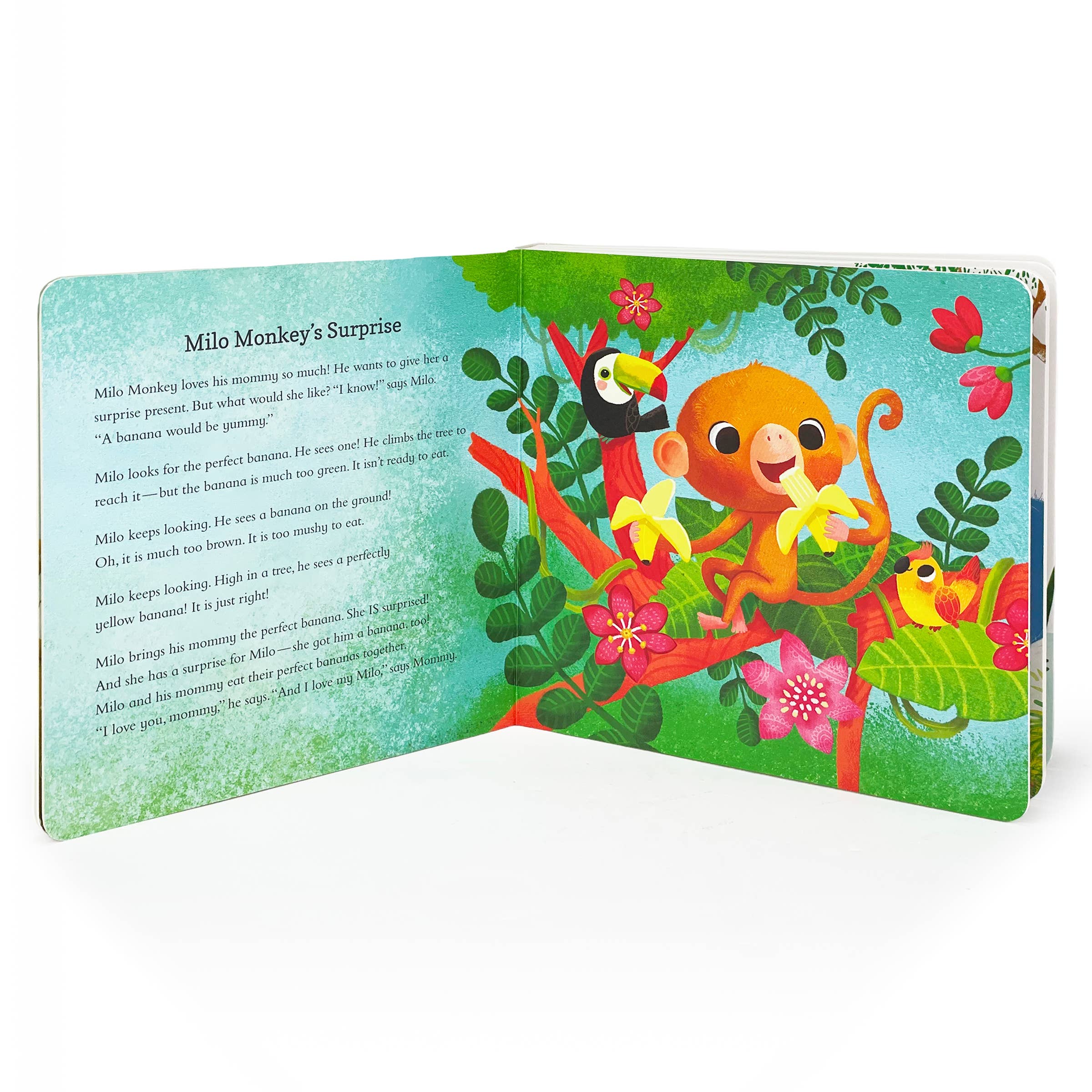 A Collection of Stories for 1-Year-Olds Board Book - Gabrielle's Biloxi