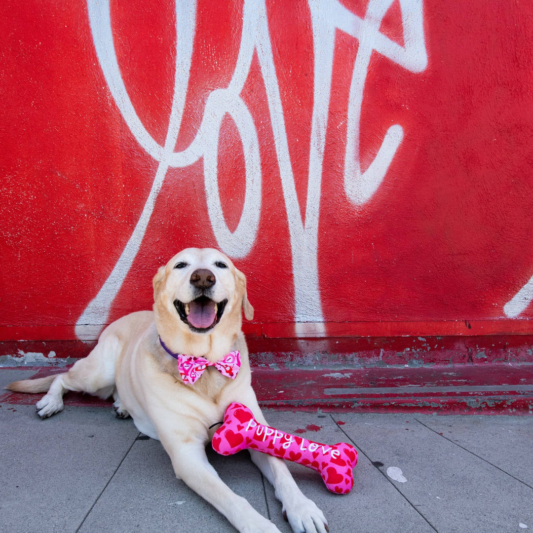 My Puppy Love Bone For Dogs - Gabrielle's Biloxi