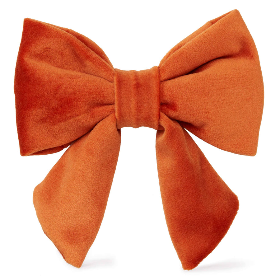 Pumpkin Velvet Lady Dog Bow - Gabrielle's Biloxi