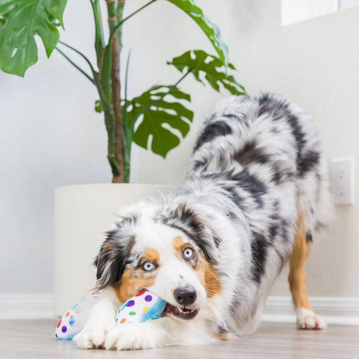 It's My Barkday Bone (Double Sided) For Dogs - Gabrielle's Biloxi