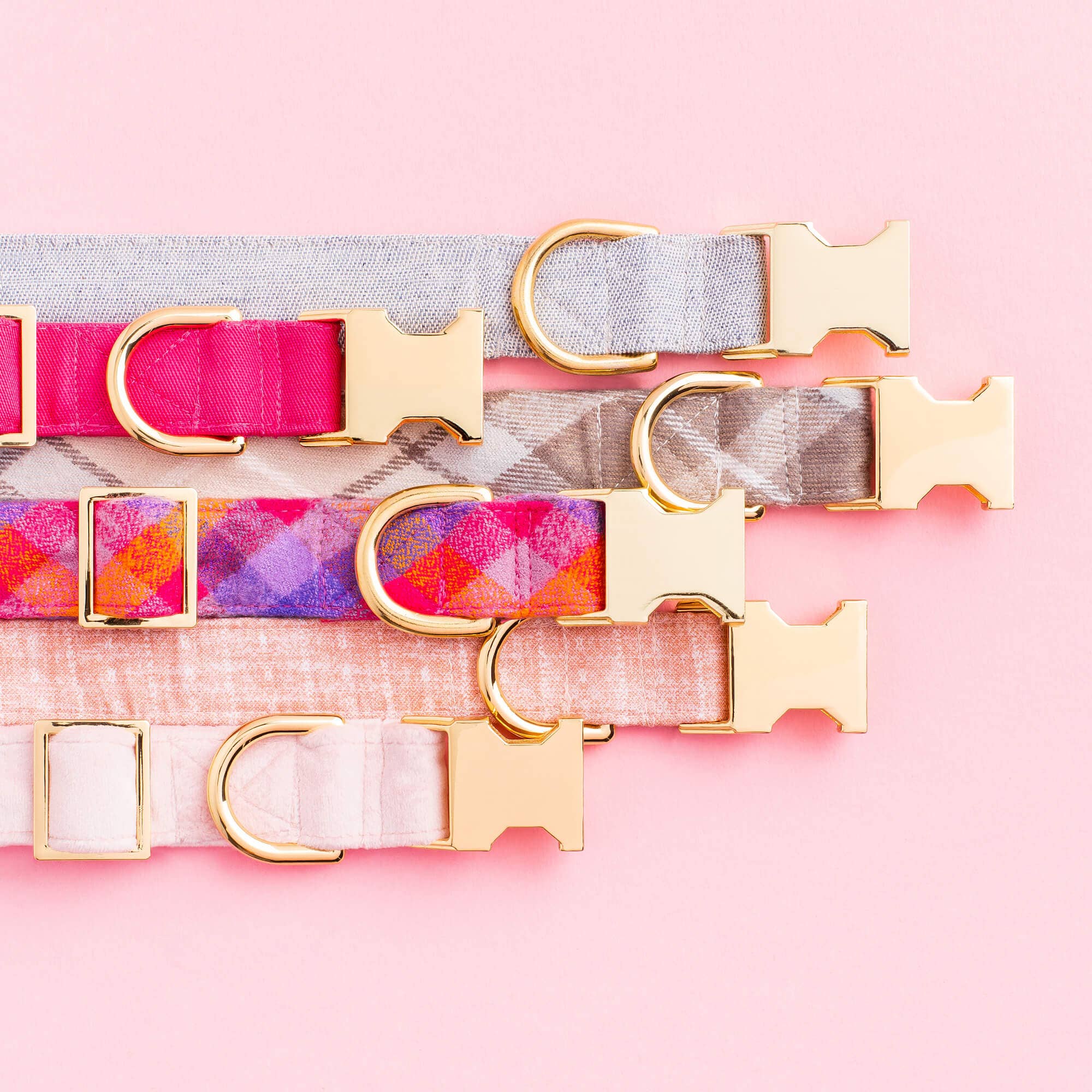 Hot Pink Dog Collar - Gabrielle's Biloxi